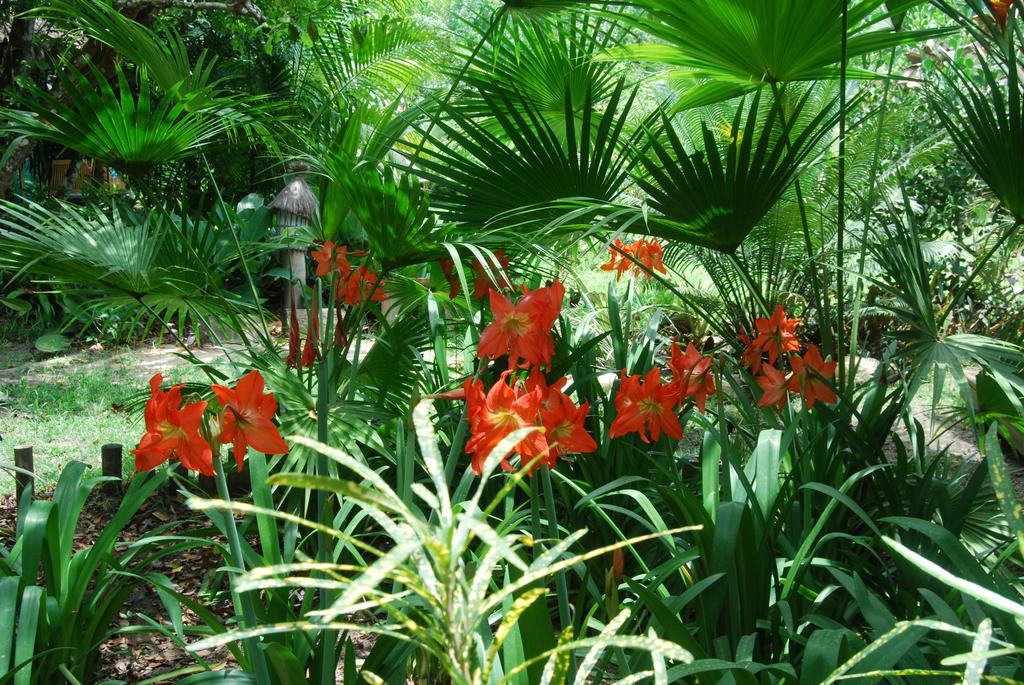 Mata N'Ativa Pousada Trancoso Exteriér fotografie