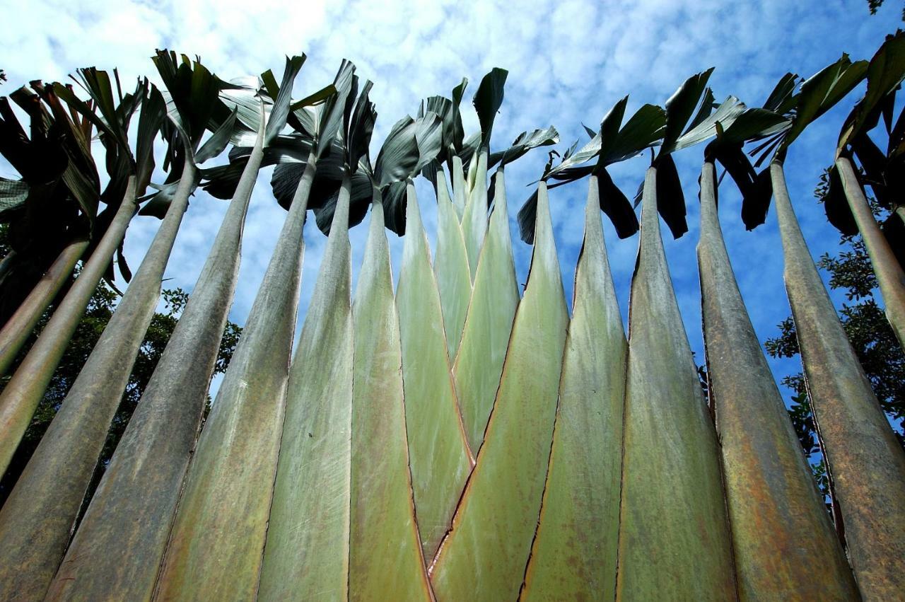 Mata N'Ativa Pousada Trancoso Exteriér fotografie